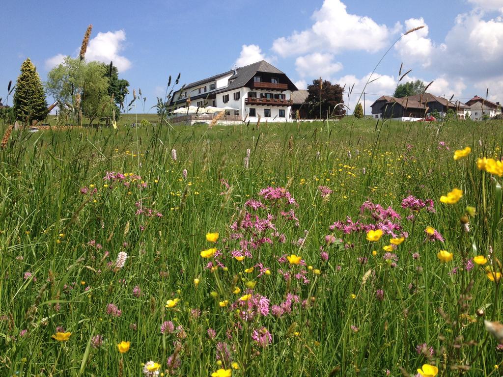 Forellenwirt Grünbach Exterior foto